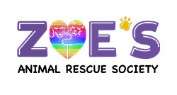 https://uat.bigsteelbox.staging.poundandgrain.ca/content/uploads/2019/10/Zoes-animal-rescue-edmonton-logo-250.jpg